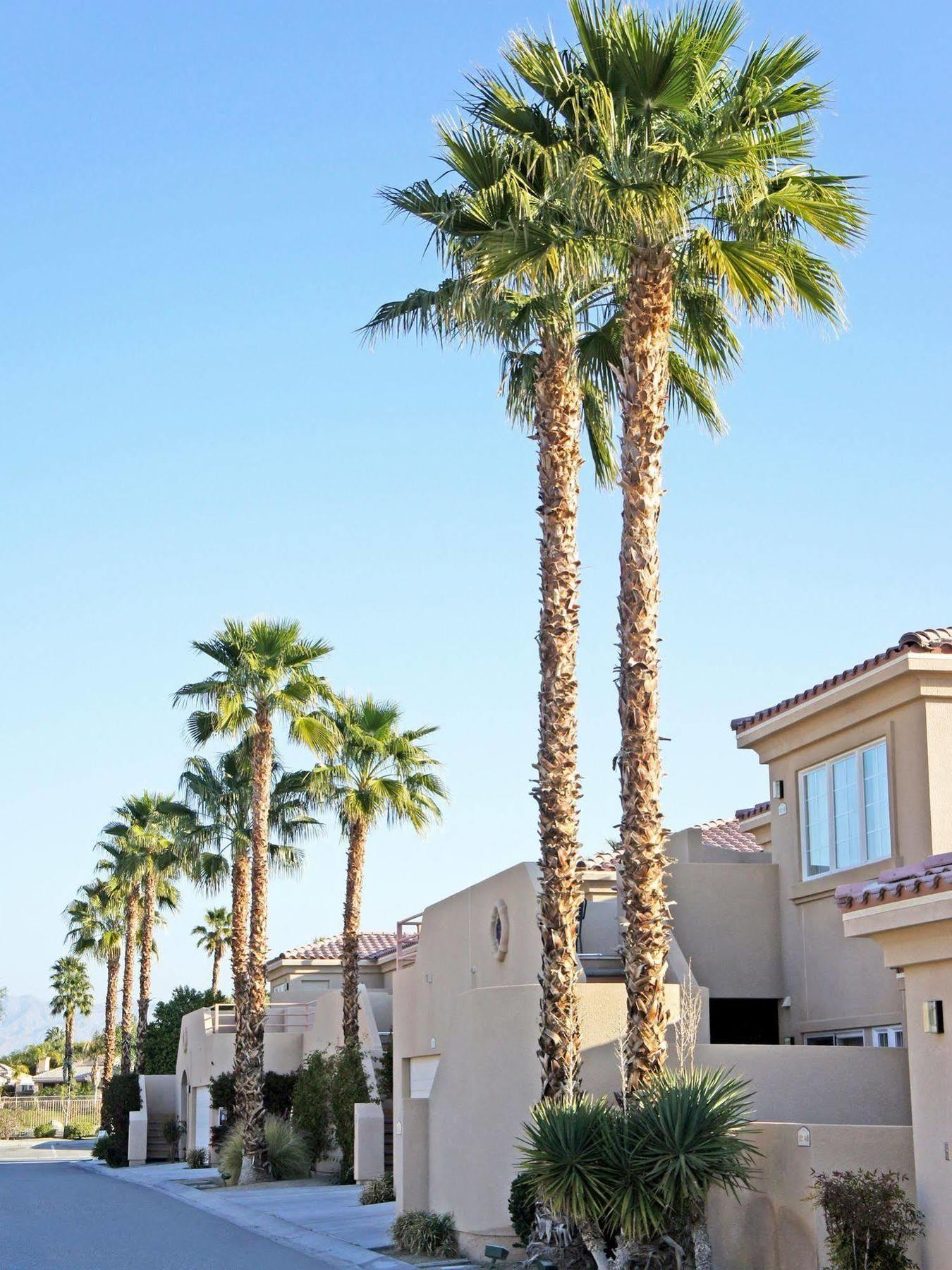 Raintree'S Cimarron Golf Resort Palm Springs Катідрал-Сіті Екстер'єр фото